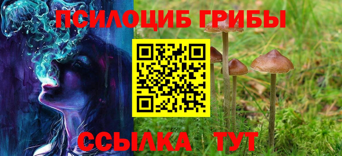 Псилоцибиновые грибы Psilocybine cubensis Кудрово
