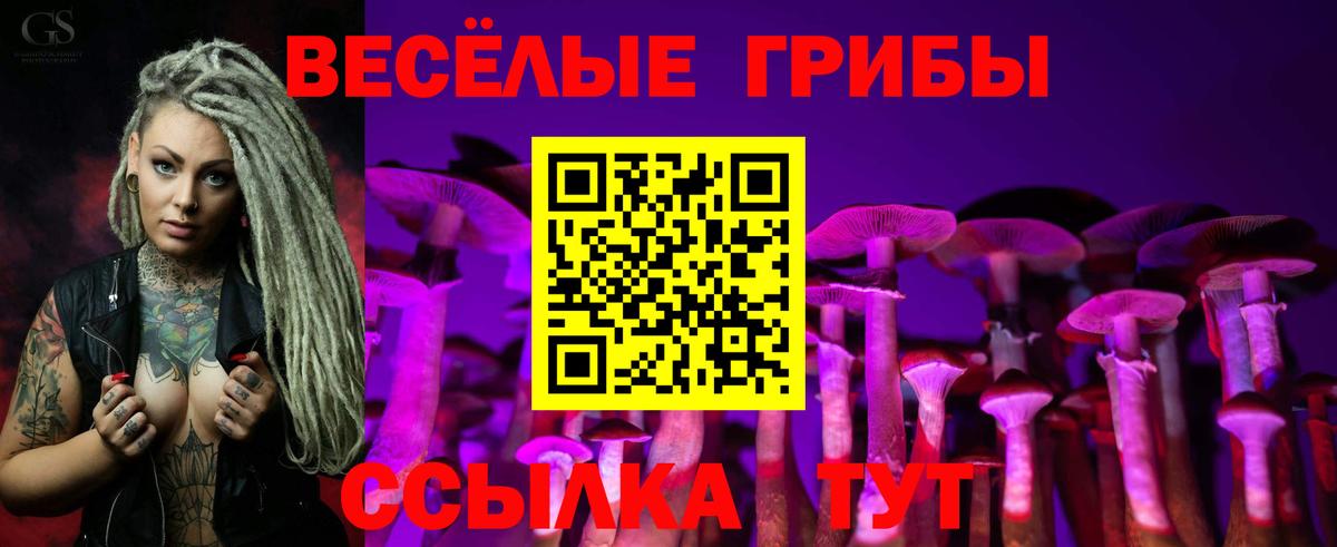 Галлюциногенные грибы Psilocybe  Псилоцибиновые грибы Psilocybine cubensis  Вход с VPN  Кудрово 